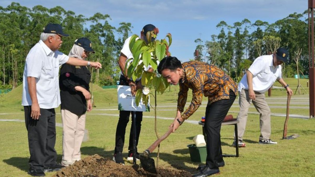 Wapres Tanam Pohon Ulin di IKN, Simbol Ketangguhan dan Harapan
